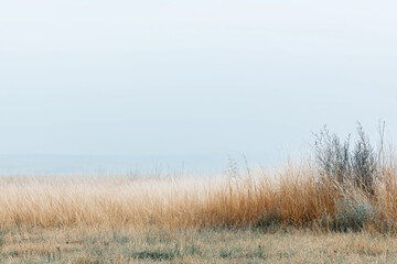 Obraz premium 静寂の原 ― 冬を待つ淡色の草原風景