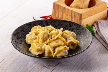 Tasty Russian dumplings with meat