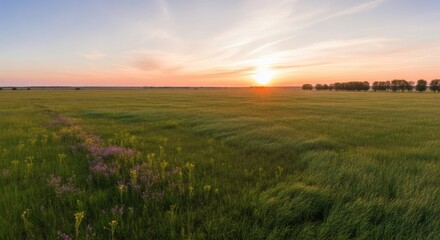 Vast grassy field with flowering border under vibrant sunset sky, trees on horizon