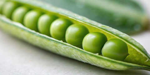 Open green pea pod reveals fresh raw vegetable. beautiful healthy food representing nutrition and satisfying feeling of organic food sovereignty and natural harvest