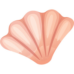 Pale Pink Scallop Seashell With A Translucent And Pearlescent Sheen On A Transparent Background