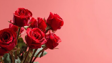 Fototapeta premium Bouquet of fresh red roses arranged on soft red pastel background for romantic valentine's day celebration, love, and anniversary greeting card designs