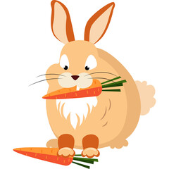 Chubby Cartoon Rabbit Holding Two Carrots With Big Orange Ears And Fluffy Tail Wearing Orange Mittens Sitting On Transparent Background With Big Eyes And Whiskers
