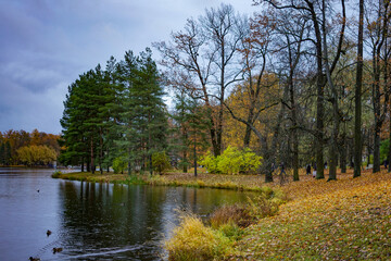 Golden Autumn Trees Reflected in a Serene Lake