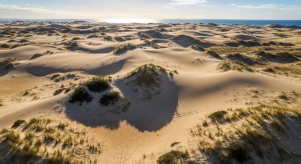 Aerial view of a vast desert landscape with undulating sand dunes and ocean horizon