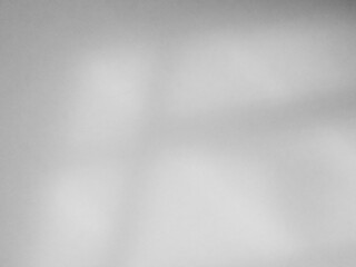 Background shadow white light wall floor backdrop overlay leaf mockup summer sunight overlay nature on room cement abstract blur muckup effect grey minimal platform for presentation product