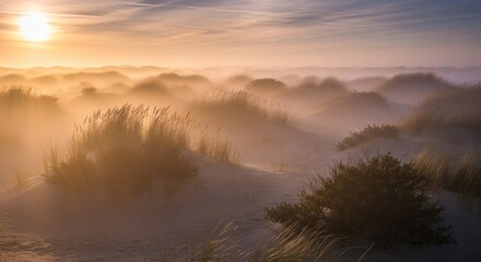 A scenic coastal dune landscape bathed in warm sunlight, with a hazy, atmospheric effect