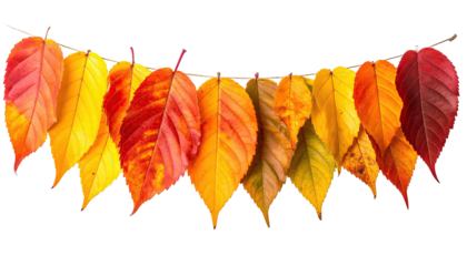 Garland of autumn leaves showing gradient color transitions