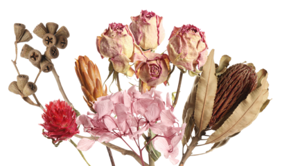 dried flower arrangement showcasing vintage botanical elements for rustic decor, sentimental themes, and artistic natural aesthetic emphasizing subtle color harmony