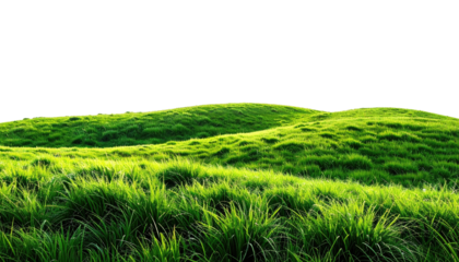 Green grass hills against a black sky in a natural setting