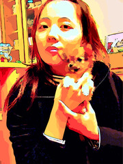 チワワの仔犬を抱く女性