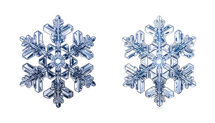 Two similar snowflakes on a black background, crystalline structures
