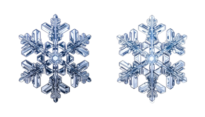 Two similar snowflakes on a black background, crystalline structures