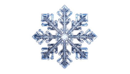 Detailed, ornate crystalline snowflake against a black backdrop