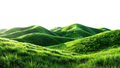 Rolling grassy hills meet a dark, empty sky above