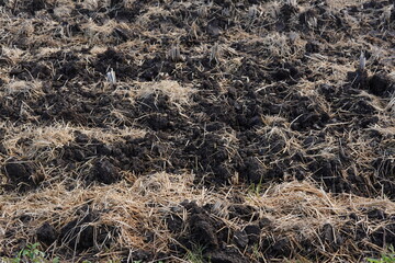 肥沃な大地、畑