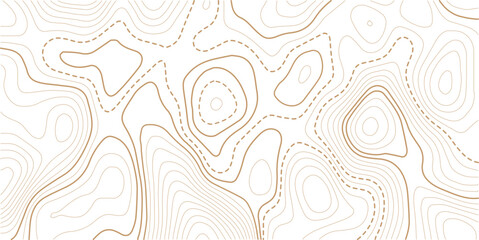 Abstract topo contour map on white background, Topographic map Topographic contour lines map seamless pattern.Geographic mountain relief. Abstract lines background. Contour maps.