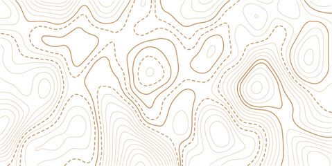 Abstract topo contour map on white background, Topographic map Topographic contour lines map seamless pattern.Geographic mountain relief. Abstract lines background. Contour maps.