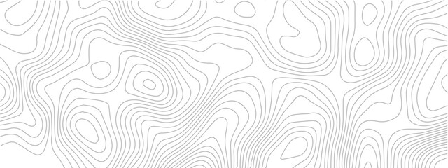 Abstract topographic map background thin gray lines on white great for presentations and geographic visualizations