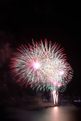Spectacular multi-color fireworks bursting in the night sky