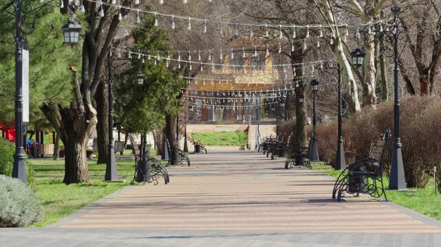city park in spring, green lawn and trees with bright sunlight
