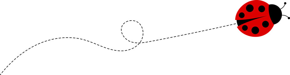 Cute ladybug characters collection. Flying cartoon ladybug with dotted path. Ladybugs flying on dotted route. ladybug icon set. Insects group. illustration isolated on white.