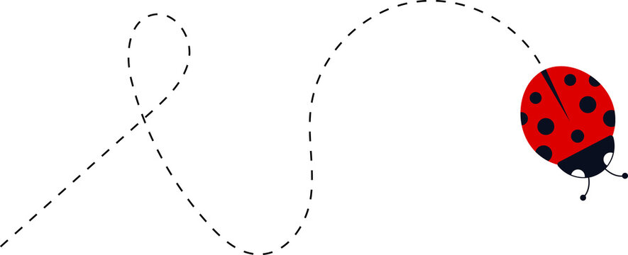 Cute ladybug characters collection. Flying cartoon ladybug with dotted path. Ladybugs flying on dotted route. ladybug icon set. Insects group. illustration isolated on white.