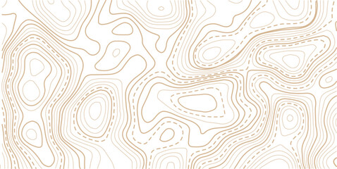Abstract topo contour map on white background, Topographic map Topographic contour lines map seamless pattern.The concept of a conditional geography scheme and contour line map image.