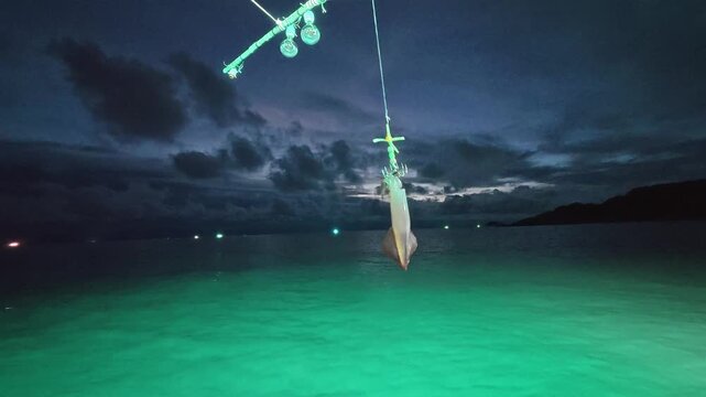 태국 앞바다에서 초록색 집어등을 켜고 오징어 낚시중인 밤바다 풍경,