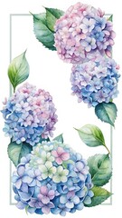 Watercolor Blue and Pink Hydrangea Flower Frame with Green Leaves isolated on Transparent Background