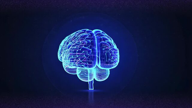 Displaying neon-blue digital brain wireframe rotating in dark studio, highlighting network pathways