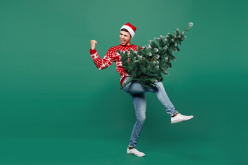 Full body merry young excited man wear red warm cozy sweater Santa Claus hat posing hold artificial...