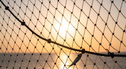 Close-up of fishing net with a small fish, sunlit over the ocean at sunset