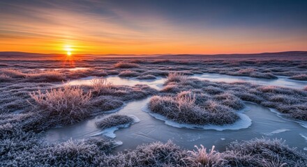 Sunrise over frozen wetlands, creating a landscape with ice and frosted grass