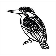 Fototapeta premium Elegant kingfisher line drawing with gold accents
