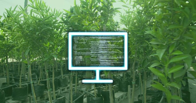 Hovering neon monitor graphic displaying code above greenhouse sapling rows, with irrigation tubes