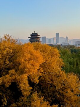 Chaoran Pagoda at sunset with yellow-leaved tree and city skyline in Jinan, China
