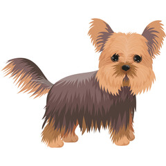 Pixel Art Yorkshire Terrier Standing on Transparent Background with Brown and Tan Fur Detailed Face and Fluffy Tail