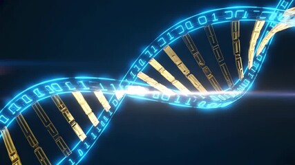 Futuristic glowing blue binary code helix D N A strand animation with golden molecular structure on dark background science technology concept - Powered by Adobe