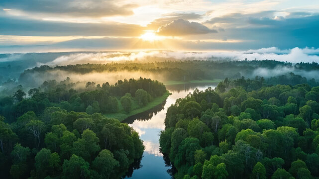 Aerial photography of forest river sunrise morning mist natural ecology travel background - Powered by Adobe
