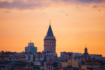 The Galata Tower and seagulls at dawn. Magnificent cityscape of Istanbul in the morning.