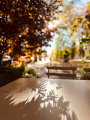 autumn in the park. Tranquil Outdoor Space with Wooden Tables and Shades from Trees in a Relaxing Natural Environment. 