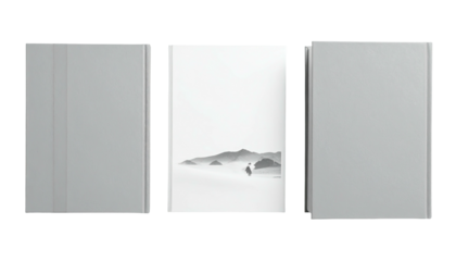 Three panels grayscale landscape, blank, and solid gray art