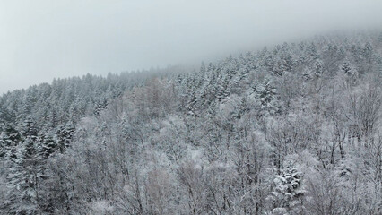 Snowy peaks and valley under a cloudy winter sky
