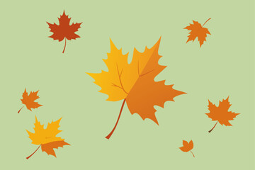 Falling Maple Leaves