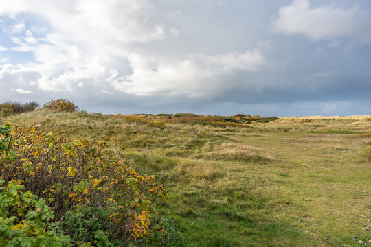 Grassy coastal landscape. Wide natural landscape with grass, bushes, and cloudy sky. A peaceful coastal area in autumn light.