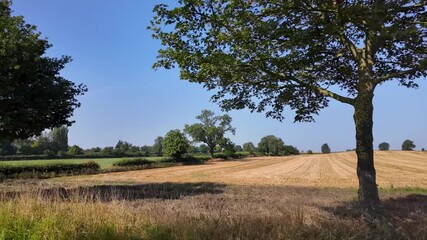 Slow motion footage driving and traveling down a country road in North Yorkshire in the UK showing British farmers fields on either side of the country lane on a sunny day in the summer time