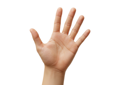 Isolated hand with outstretched fingers showing five, offering help or counting number five