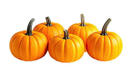 Five bright orange pumpkins with dark stems against black