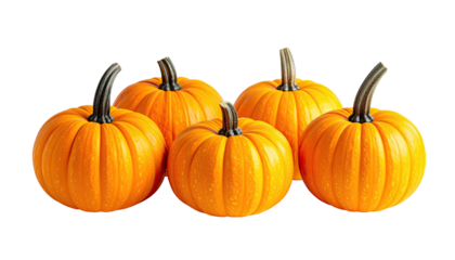 Five bright orange pumpkins with dark stems against black